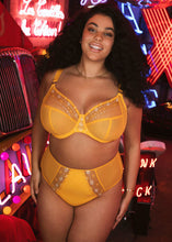 Load image into Gallery viewer, Elomi Matilda J-Hook Plunge Underwire Non-Padded Bra (Chilli Red + Cranberry + Daisy)