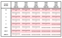 Load image into Gallery viewer, BOOMBA Perfect Boost Inserts