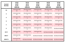 Load image into Gallery viewer, BOOMBA Ultra Boost Inserts