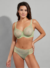 Load image into Gallery viewer, Empreinte Cassiopee Nymphea Seamless Unlined Lace Underwire Bra
