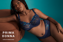 Load image into Gallery viewer, Prima Donna FW24 Deauville Velvet Blue Matching Full Brief