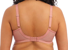 Load image into Gallery viewer, Elomi Brianna Full Cup Plunge Strings Underwire Unlined Bra (Ash Rose)