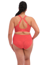 Load image into Gallery viewer, Elomi Brianna Padded Half Cup Underwire Bra (Cayenne)