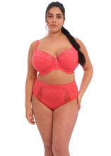 Load image into Gallery viewer, Elomi Brianna Padded Half Cup Underwire Bra (Cayenne)