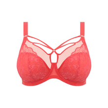 Load image into Gallery viewer, Elomi Brianna Full Cup Plunge Strings Underwire Unlined Bra (Cayenne)