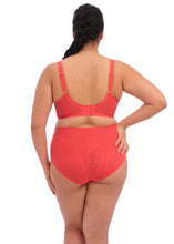 Load image into Gallery viewer, Elomi Brianna Full Cup Plunge Strings Underwire Unlined Bra (Cayenne)