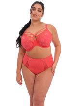 Load image into Gallery viewer, Elomi Brianna Full Cup Plunge Strings Underwire Unlined Bra (Cayenne)
