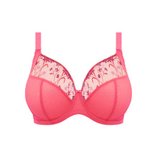 Load image into Gallery viewer, Elomi Charley Non-Padded Plunge J-Hook Underwire Bra (Honeysuckle)