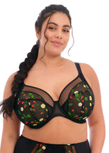 Load image into Gallery viewer, Elomi Samira Plunge Underwire Bra (Black)