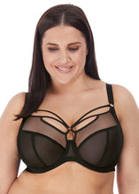 Load image into Gallery viewer, Elomi Sachi Strings Plunge Underwire Bra
