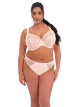 Load image into Gallery viewer, Elomi Charley Non-Padded Plunge J-Hook Underwire Bra (Jet Black + Ballet Pink)