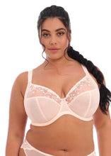 Load image into Gallery viewer, Elomi Charley Non-Padded Plunge J-Hook Underwire Bra (Jet Black + Ballet Pink)