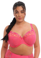 Load image into Gallery viewer, Elomi Charley Non-Padded Plunge J-Hook Underwire Bra (Honeysuckle)