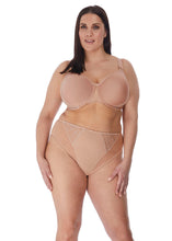 Load image into Gallery viewer, Elomi Charley Moulded Spacer Seamless Underwire Bra (Fawn + Black)