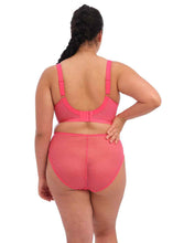 Load image into Gallery viewer, Elomi Charley Moulded Spacer Seamless Underwire Bra (Honeysuckle)