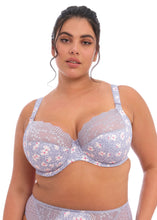Load image into Gallery viewer, Elomi Lucie Plunge Unlined Underwire Bra (Aleutian)