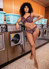 Load image into Gallery viewer, Elomi Lucie Plunge Underwire Bra (Mambo)