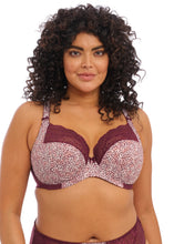 Load image into Gallery viewer, Elomi Lucie Plunge Unlined Underwire Bra (Wild Thing)