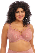 Load image into Gallery viewer, Elomi Brianna Full Cup Plunge Strings Underwire Unlined Bra (Ash Rose)