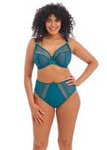 Load image into Gallery viewer, Elomi Matilda J-Hook Plunge Underwire Non-Padded Bra (Blue Star)