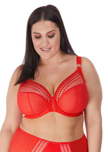 Load image into Gallery viewer, Elomi Matilda J-Hook Plunge Underwire Non-Padded Bra (Chilli Red + Cranberry + Daisy)