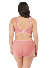 Load image into Gallery viewer, Elomi Matilda J-Hook Plunge Underwire Non-Padded Bra (Rose)