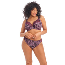 Load image into Gallery viewer, Elomi Lucie Plunge Underwire Bra (Mambo)