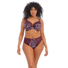 Load image into Gallery viewer, Elomi Lucie Plunge Underwire Bra (Mambo)