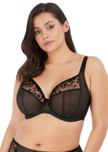 Load image into Gallery viewer, Elomi Charley Non-Padded Plunge J-Hook Underwire Bra (Jet Black + Ballet Pink)