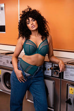 Load image into Gallery viewer, Elomi Matilda J-Hook Plunge Underwire Non-Padded Bra (Blue Star)