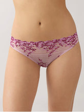 Load image into Gallery viewer, Wacoal Lace Embrace Matching Bikini Mesh Back (ALL COLOURS)
