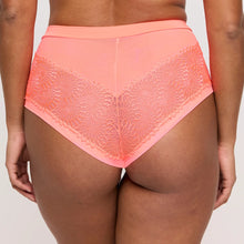 Load image into Gallery viewer, Prima Donna FW25 Sophora Spritz Matching Hotpants
