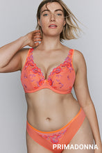 Load image into Gallery viewer, Prima Donna SS26 Devdaha Sunset Blush Matching Rio Brief
