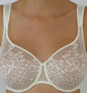 Empreinte Melody Lace Seamless Full Cup Padded Strap Underwire Bra (Ivory)