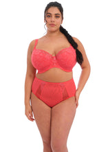 Load image into Gallery viewer, Elomi SS22 Cayenne Brianna Plunge Padded Half Cup Underwire Bra
