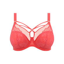Load image into Gallery viewer, Elomi SS22 Cayenne Brianna Plunge Unlined Underwire Bra
