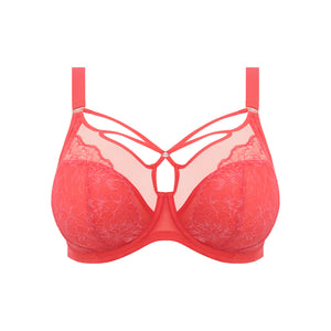 Elomi Brianna Padded Half Cup Underwire Bra (8081)- Very Pink, Cayenne, 32HH  : : Clothing, Shoes & Accessories