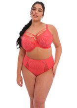 Load image into Gallery viewer, Elomi SS22 Cayenne Brianna Plunge Unlined Underwire Bra
