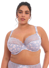 Load image into Gallery viewer, Elomi Aleutian Lucie Plunge Unlined Underwire Bra
