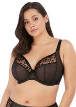 Load image into Gallery viewer, Elomi Charley Basic (Jet Black +Ballet Pink) Non-Padded Plunge J-Hook Underwire Bra
